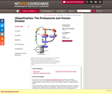 Ubiquitination: The Proteasome and Human Disease, Fall 2004