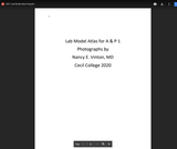 A&P 1 Lab Model Atlas Final.pdf
