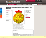 Nano-life: An Introduction to Virus Structure and Assembly, Fall 2005