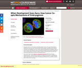 When Development Goes Awry: How Cancer Co-opts Mechanisms of Embryogensis, Fall 2009