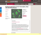 Reading the Blueprint of Life:  Transcription, Stem Cells and Differentiation, Fall 2006