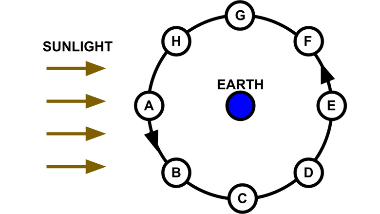 Adaption of OpenStax Astronomy: Low-Vision / Blind Accessible Textbook